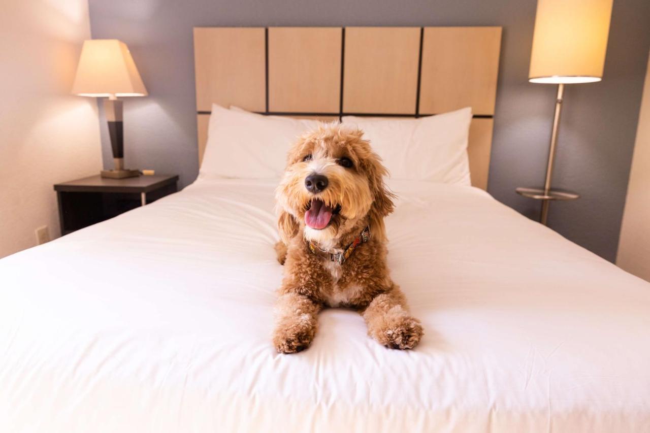 Sonesta Simply Suites Birmingham Hoover Kültér fotó